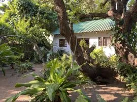Moz-Tree Inn