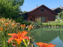 Chalet au bord d'un étang，位于Ueberstrass的酒店