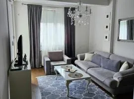 Comfort pored Klinickog Centra