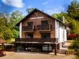 CABANA BERNER stațiunea Mogoșa，位于巴亚斯普列的酒店