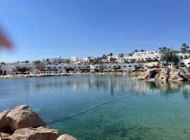 Domina Coral Bay