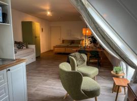 Studio lodge de groene specht bij Bolmeer Lodges，位于Zevenhuizen的酒店