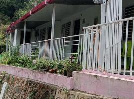 KK Shah Ji Home Stay，位于Patwa Dunga的酒店