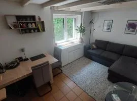 Casa celeste, stanza in appartamento condiviso