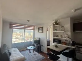 Vista Panorámica gran Concepción
