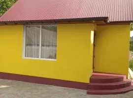 Ципель 1