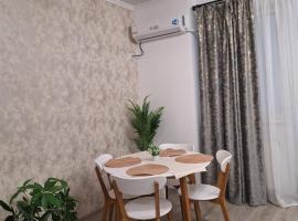 Silvana Apartament，位于Roşu的酒店