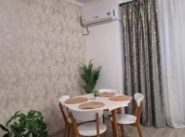 Silvana Apartament