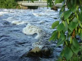 威家假日中心酒店