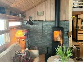 Furuly Cabin At Sangefjell, Peace And Nature