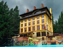 Готель Вілла Драгобрат，位于德拉格布拉特的酒店