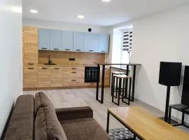 Alytus Miško studio
