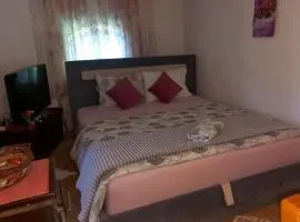 Family house