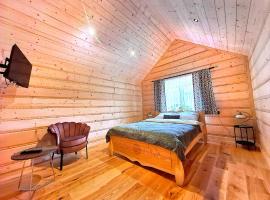 Chochołowskie Apartamenty -1 i Domki，位于乔乔洛的酒店