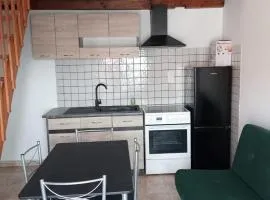 Cerbere Terrimbo 2