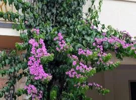 Lake Garda Renovated Apartment