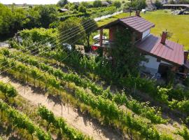 Holiday house with a parking space Mandicevac, Slavonija - 24644，位于Drenje的酒店