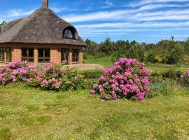 Octagonal Thatched Forest House Near Herning，位于Videbæk的酒店