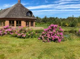 Octagonal Thatched Forest House Near Herning