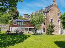 The Pine Martin - Uk31005