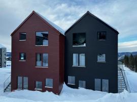 Modern Apartment Overlooking Gudbrandsdalen，位于奥耶的酒店