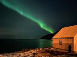 Beautiful Cabin With Sauna And Jacuzzi On Senja，位于Medby的酒店