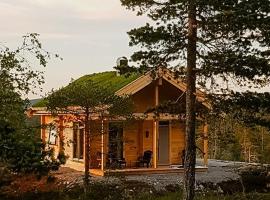 Charming Small Cabin At The Top Of Blefjell，位于Flesberg的酒店