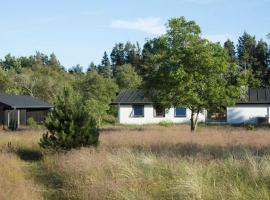 Dune House Near Bulbjerg，位于弗勒斯楚普的酒店