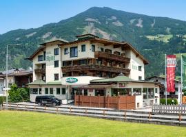 Hotel Alpina，位于齐勒谷地里德的酒店