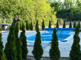 The Woodland pool house，位于Dubovac的酒店