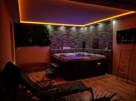 Zen&spa appartement avec jacuzzi et sauna privatif，位于Aspach-le-Bas的酒店
