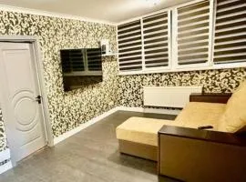 New private Dumeniuc residence