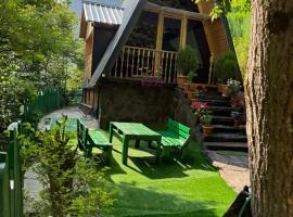 Riverhush cabin，位于Machakhlispiri的酒店