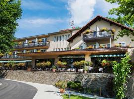 Hôtel Restaurant Logis Auberge Sundgovienne，位于Carspach的酒店