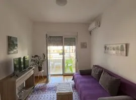 Cozy Apartment with Private Garage - Walk to City Center