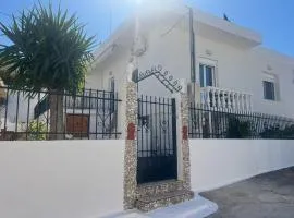 The White House - Aianteio