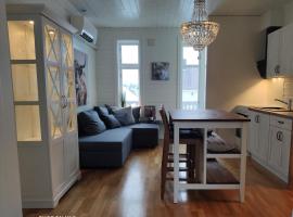 Charming central apartment，位于纳尔维克的酒店
