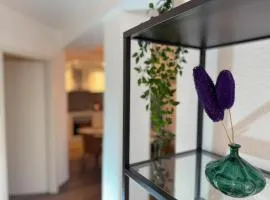 Exklusives 3 Zi Design Apartment in FR-Altstadt