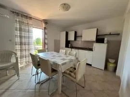 Apartment Put Vidaka