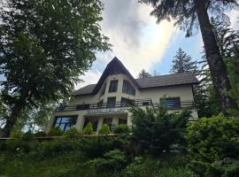 Vila Cristalfrost，位于波亚纳布拉索夫的酒店