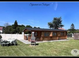 Chalet en Sologne à Villefranche sur Cher，位于Villefranche-Sur-Cher的酒店