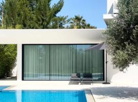 White Olive Villas，位于圣塔伦的酒店