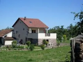 Gîte familial dans les Vosges avec WiFi inclus - FR-1-583-443