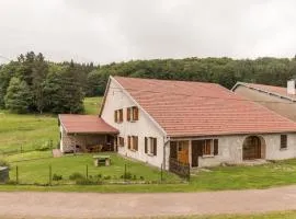 Ancienne ferme rénovée dans les Vosges - FR-1-583-487