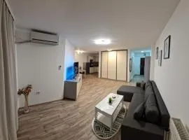 Luxury apartment in the city center