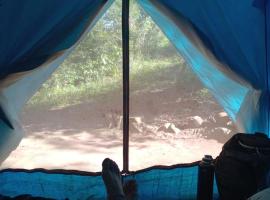 Curiango Bird Camp