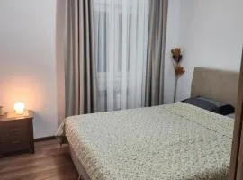 Stan na dan El Camino Pozarevac