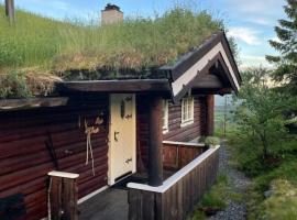 Cozy, Magical Mountain Cabin With Trails，位于Etnedal的酒店