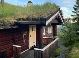 Cozy, Magical Mountain Cabin With Trails