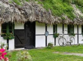 Unique Summer House With Seaweed Roof On Læsø，位于莱斯的酒店